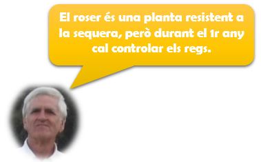 Consells Pere